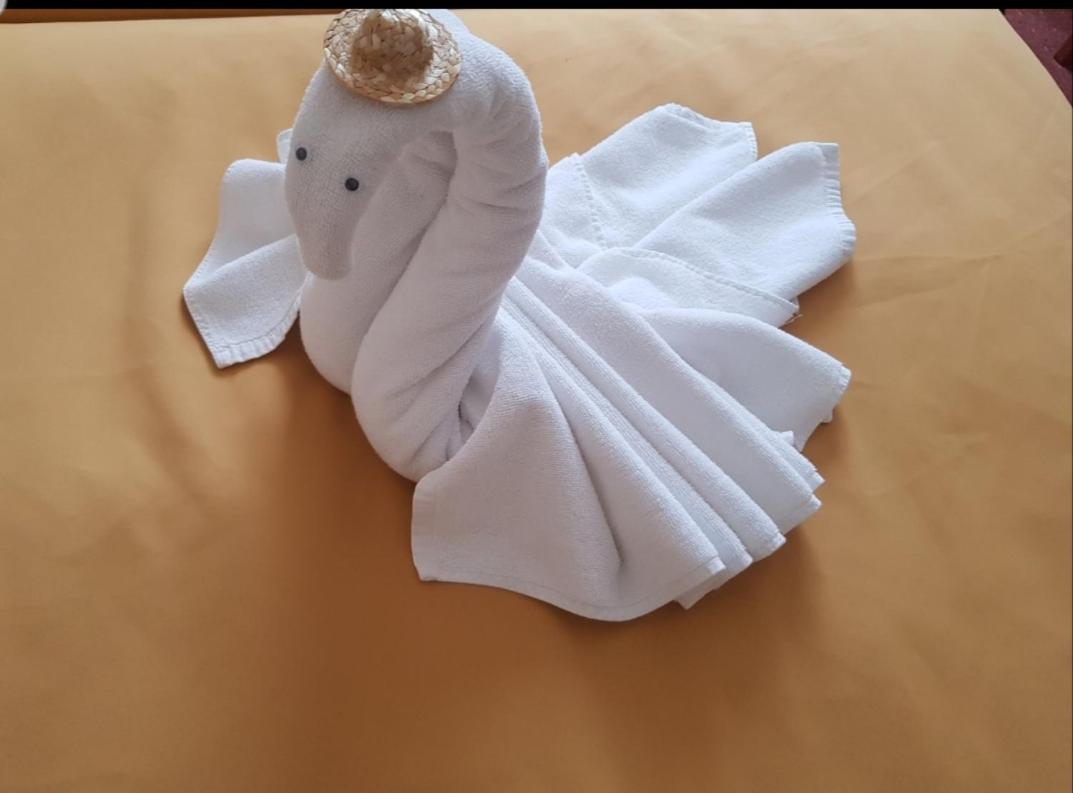לאיושמיז'ה Liza Aqua & Conference Hotel מראה חיצוני תמונה
